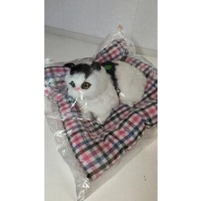 Famemus Accessory Sesli Kendinden Yataklı Yapışık Kedicik Ürün Boyutu Yatak Dahil 23CM*23 cm