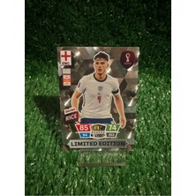 Panini Declan Rice Limited Edition 2022 Katar Dünya Kupası Oyun Kartı