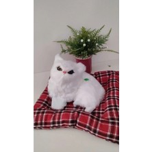 Famemus Accessory Sevimli Sesli Yatakta Oturan Kedicik Orta Boy 20 cm Minder Ile Bitişiktir