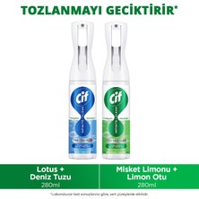 Cif Infinite Clean Sprey Lotus & Deniz Tuzu 280 Mlx1 Misket Limonu & Limon Otu 280 ml X1