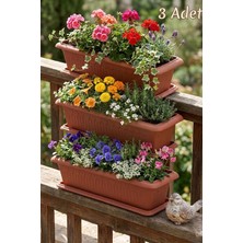 Effe Home Antik Diktörtgen Bahçe Balkon Saksısı 3 Adet