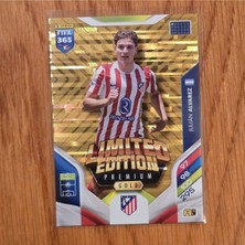 Panini 2026 Julian Alvarez Limited Edition Gold Oyun Kartı
