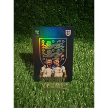 Panini Walker Stones Synergy Top Class Oyun Kartı