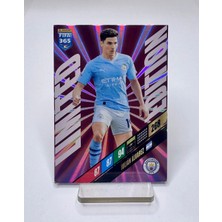 Julian Alvarez Limited Edition Panini Fifa 365 Futbolcu Kartı