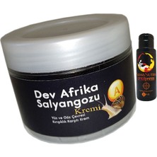 Giant Anti-Aging 100ML Dev Afrikasalyangozu Kremi + L.kamasutra Analtightening Krem 60 ml
