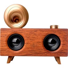 Esranın Dünyası Gramafon Nostaljik Radyo Yüksek Ses Kalitesi USB Tf Kart Aux - Lisinya