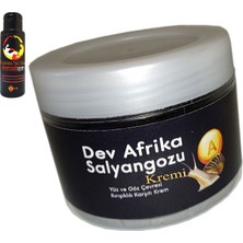 Giant Afrikasalyangozu Dev Salyangozyaşlanma Karşıtı 100ML + L.kamasutra Bayan Memeşekillendirici Krem 60 ml