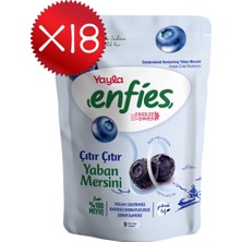 Yayla Enfies Freeze Dried Yaban Mersini 15 G X18
