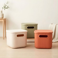 Homing 3 Adet Çok Amaçlı Kapaklı Renkli Organizer Kutu 6.2lt