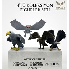 LRS Store 4 Lü Vahşi Hayvan Seti Kuşlar Kartal Atmaca Şahin Baykuş Oyuncak Figür Set 9-11 cm