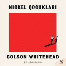 TeknoKapsül Nickel Çukları