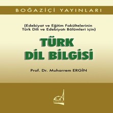 TeknoKapsül Türk Dil Biisi