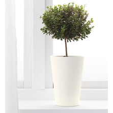 IKEA Papaja Saksı Beyaz 12x19 cm 70186655