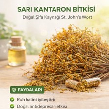 Aktarzane Sarı Kantaron (Hypericum Perforatum) 100 Gr.