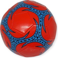 Esranın Dünyası Top - 1805 - Futbol Topu (Lisinya)