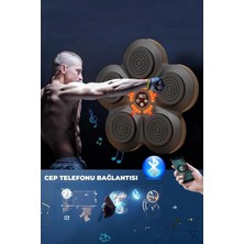 Gültekin Müzikli Duvar Boks Padi Darbe Sensörlü Antrenman Pedi LED Işıklı Eğlenceli Boks Oyuncağı