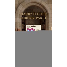 Gültekin Harry Potter Koleksiyon Sürpriz Figür Oyuncak Seti