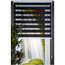 Koçtaş Basic Zebra Stor Perde Siyah