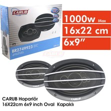 PINUKS Hoparlör 16 CMX22CM Kapaklı Oval 6x9 Inc  100W Takım