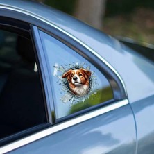 Fulcar Australian Shepherd Araç Stickerı Midastech