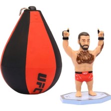 Gültekin PMI/UFC2009