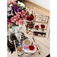 PremiumPort Şık ve Modern Pleksi Kahve Sunum Borusu Kulp, Evinize Zarafet Katın