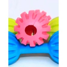 Çıngıraklı Evcil Hayvan Oyuncağı Midastech