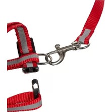 Reflektörlü Kedi Gezdirme Tasması Midastech