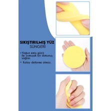 2'li Cilt Temizleme Süngeri Seti Midastech