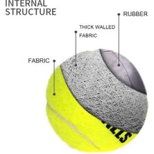 Köpek Oyun Topu 4 Adet Midastech