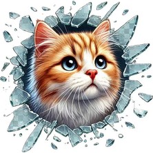 Fulcar Sarman Araç Stickerı Midastech