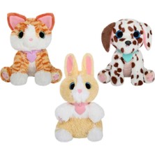 Freedom Storee Klasik Seri Kutu CRU10000