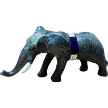 Freedom Storee Vahşi Hayvanlar