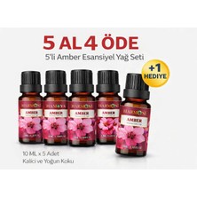 Harmoni Amber Esansiyel Uçucu Koku 10ML Difüzör Esansı Buhurdanlık Yağı ve Oda Kokusu  5AL 4öde