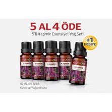 Harmoni Kaşmir Esansiyel Uçucu Koku 10ML Difüzör Esansı Buhurdanlık Yağı ve Oda Kokusu  5AL 4öde