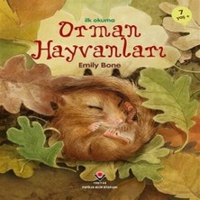 Brc Design Ilk Okuma - Orman Hayvanları