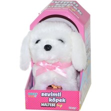 Freedom Storee 47100 Sevimli Köpek Maltese -