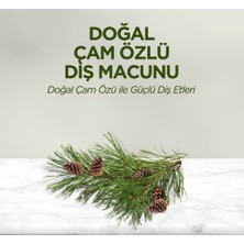 Freedom Storee Doğal Diş Macunu 90 gr Çam Özlü