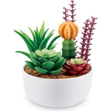 Freedom Storee MN800010 - MN800000 Nessiworld Brands - Botanik Bahçe 77559