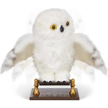 Freedom Storee Harry Potter Büyüleyici Hedwig