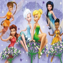 Markaon 714 Fairies Puzzle 100