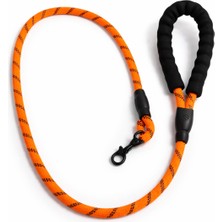 Papağanhane Fitilli Halat Köpek Gezdirme Tasması 115 cm – 10 mm – Turuncu – 0-30 kg