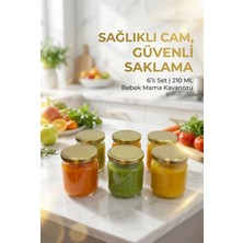 Zuri Design 6’lı Cam Bebek Mama Kavanozu Seti Altın Kapaklı Sağlıklı Saklama 210 ml