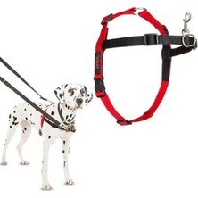 Ulu Pazarlama Önden Kontrollü Orta Boy Göğüs Tasması