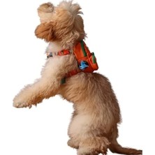 Ulu Pazarlama Ayarlanabilir Göğüs Tasması ve Sırt Çantası, Küçük ve Büyük Irklar Için