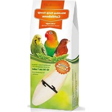 Ulu Pazarlama Yüksek Kaliteli Tekli Mürekkep Balığı Kemiği, 12-14 cm