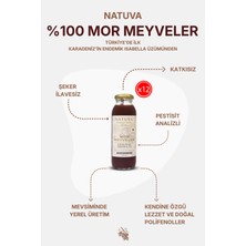 Natuva 12'li Mor Meyveler Meyve Suyu 250 ml Şekersiz ( Kokulu Üzüm, Böğürtlen, Nar )