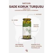 Natuva Sade Koruk Turşusu 500 G