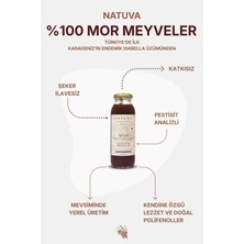 Natuva Mor Meyveler % 100 Meyve Suyu 250 ml Şekersiz ( Kokulu Üzüm, Böğürtlen, Nar )