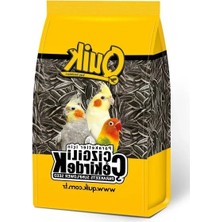 Ulu Pazarlama 12X500 gr Çizgili Quik Paraket Çekirdeği